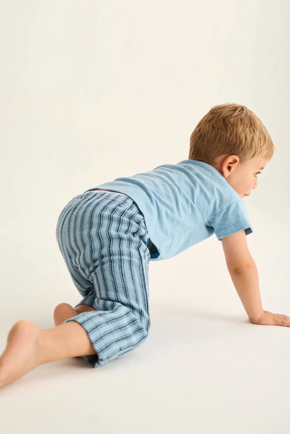 T-shirt neonato azzurra Bob, stampa mela