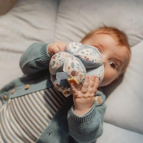 Pallina sensoriale neonato blu Forest Friends