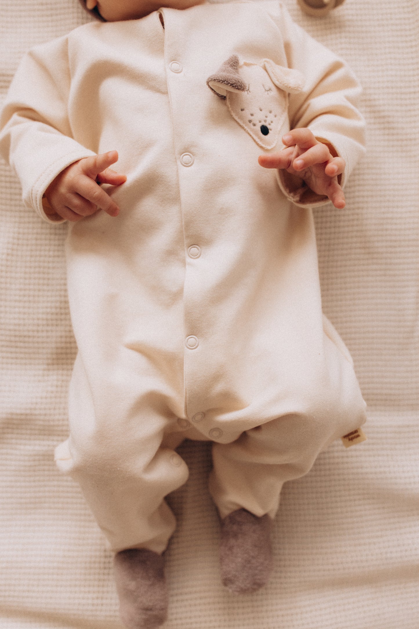 Tutina kimono cagnolino cotone BIO