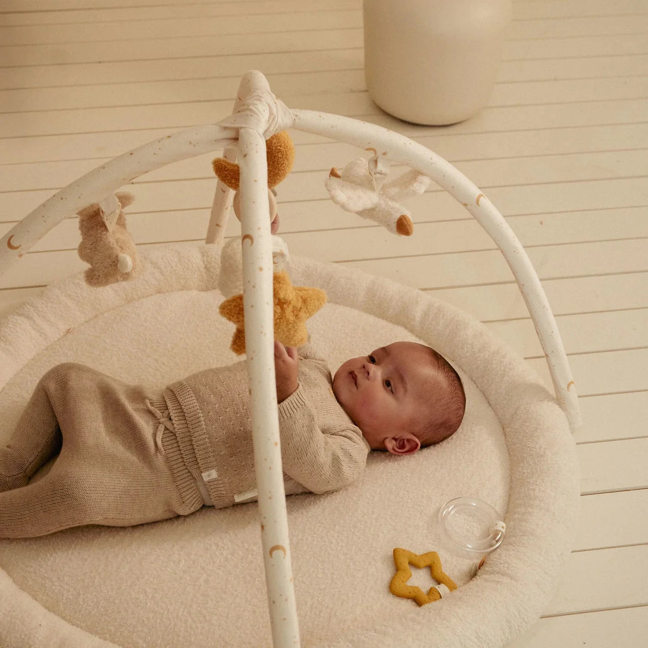 Palestrina morbida New Born Natural