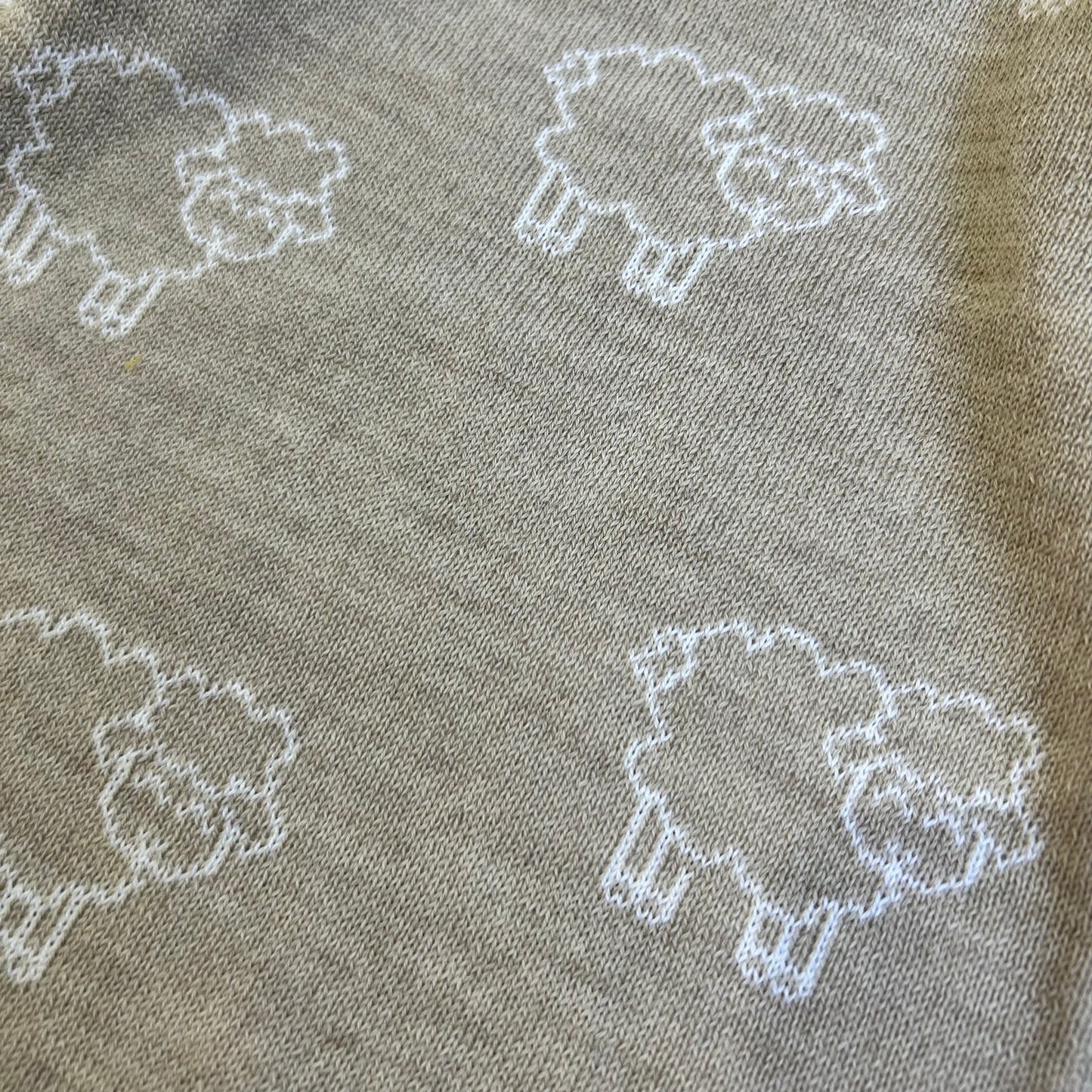 Tutina Pecorelle pura lana merino