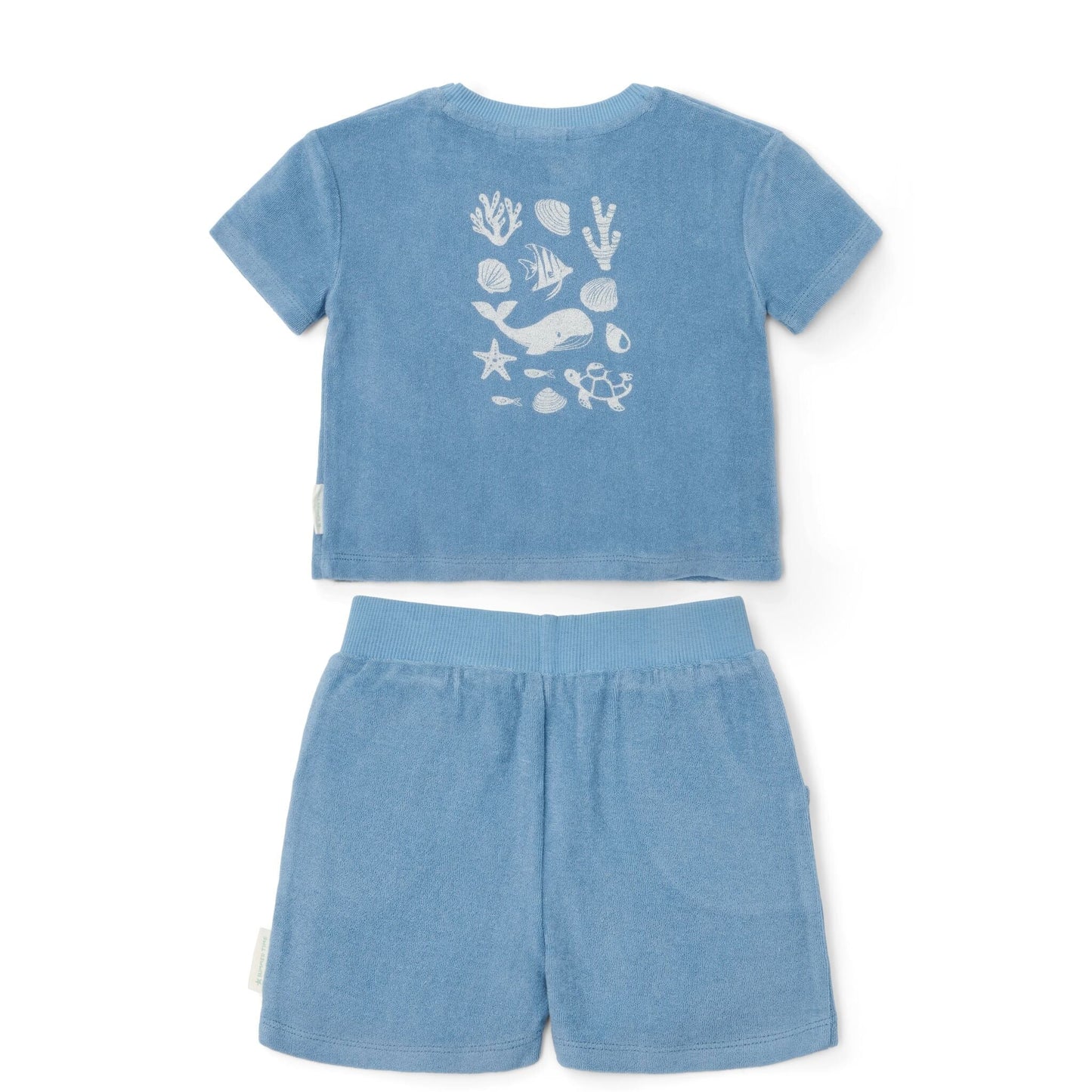 Completo t-shirt e pantaloncino Blu Sea Life