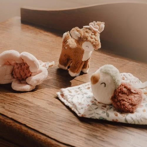 Set regalo Fairy Garden