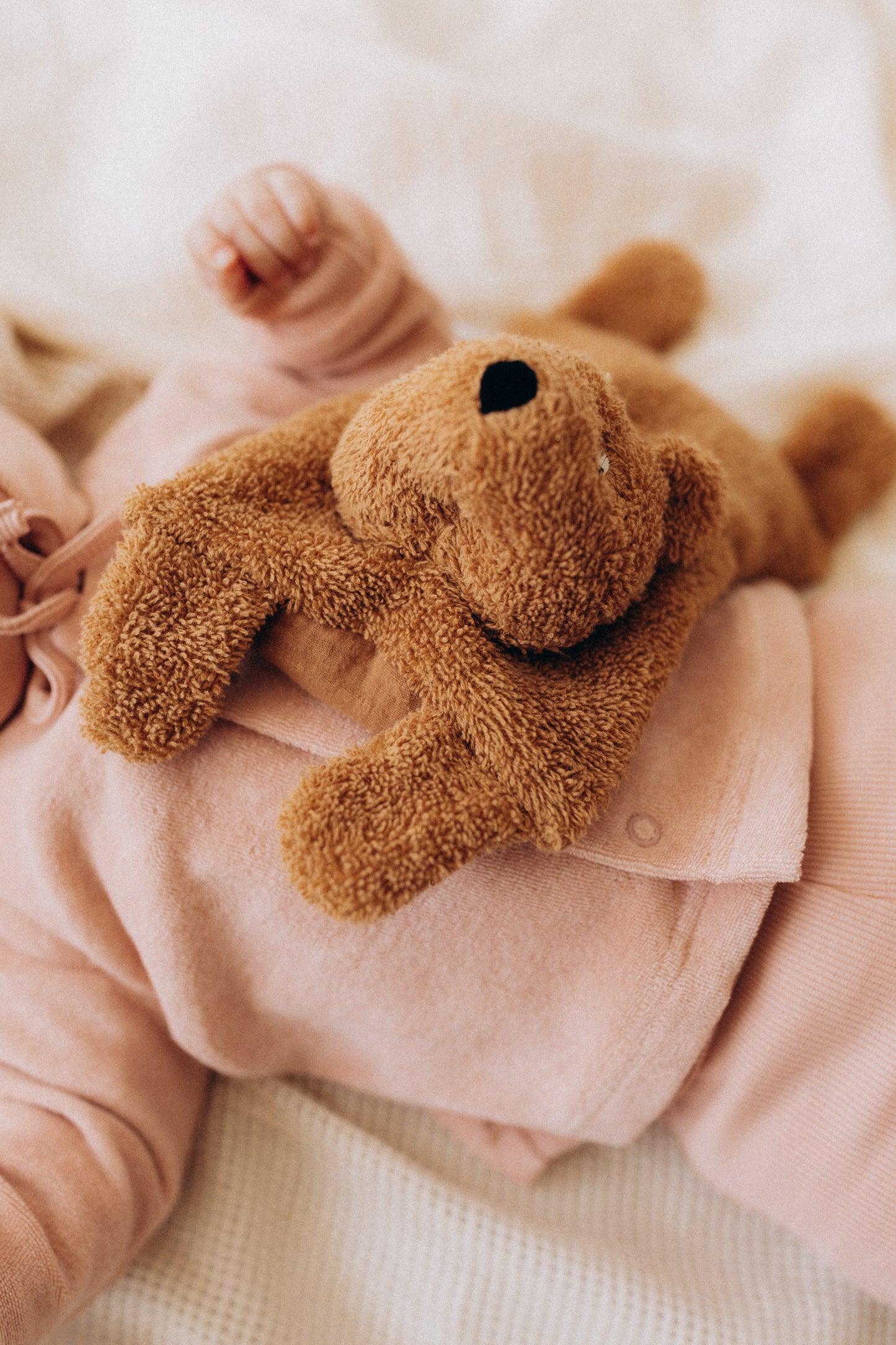 Peluches termico orsetto con noccioli di ciligia