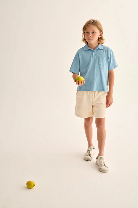 T-shirt Polo azzurra Arnold