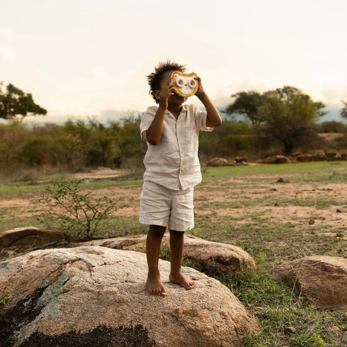 Visore di storie leone Safari Firneds