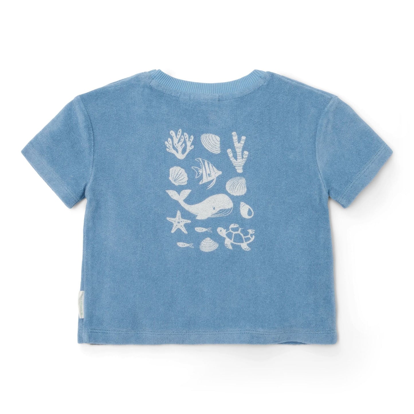 Completo t-shirt e pantaloncino Blu Sea Life