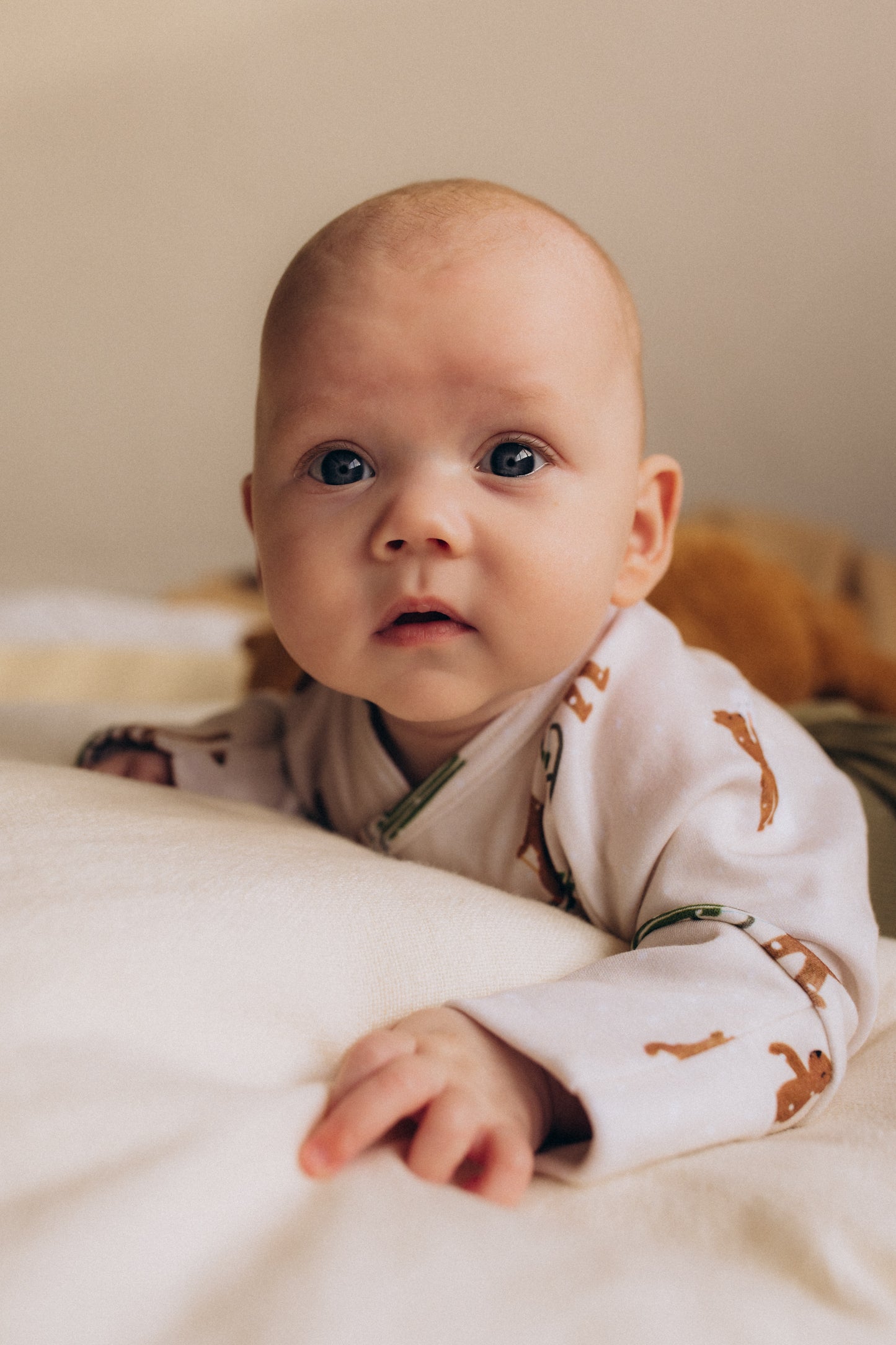 Body kimono Winter Teddy