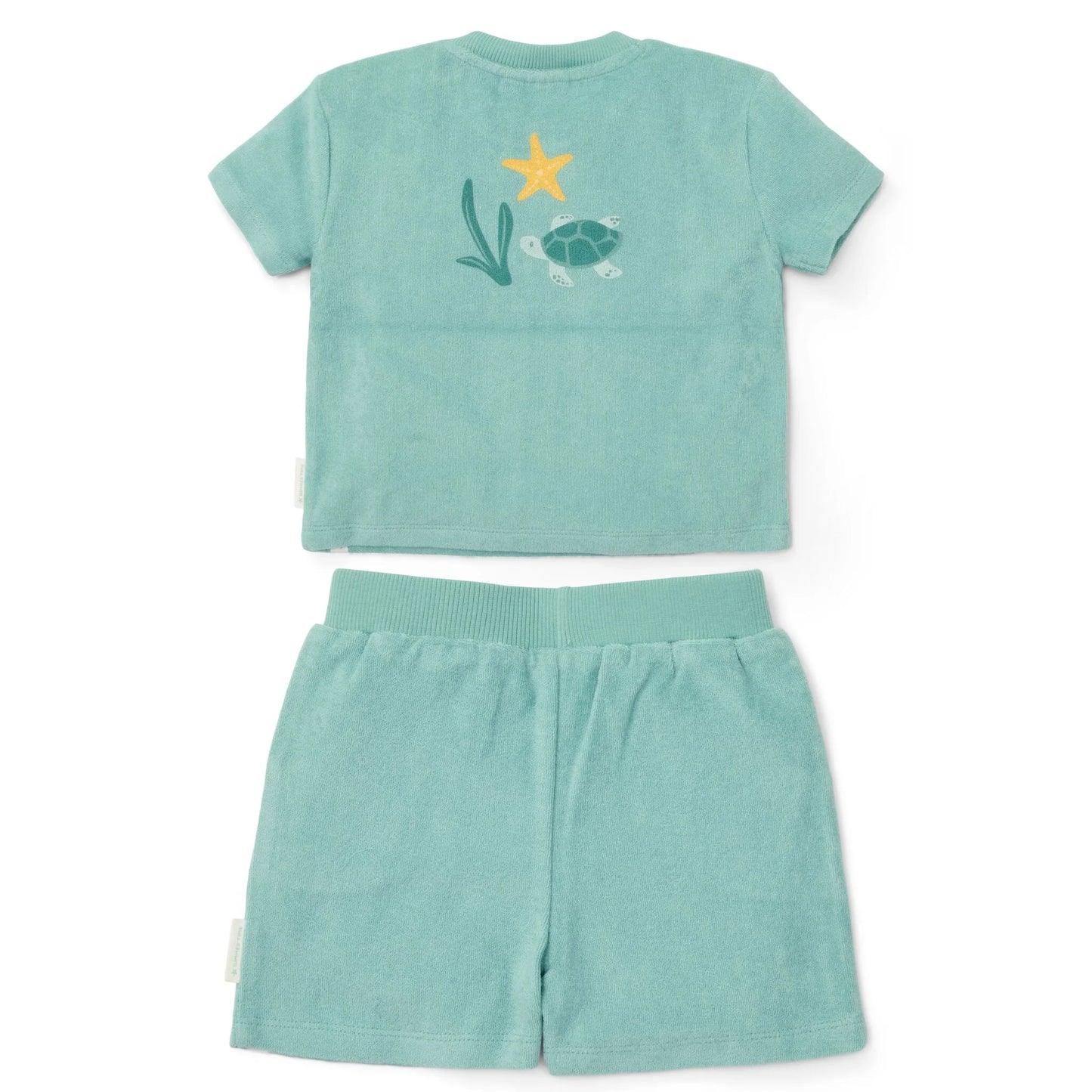 Completo t-shirt e pantaloncino Verde - Seasashells and Stripes