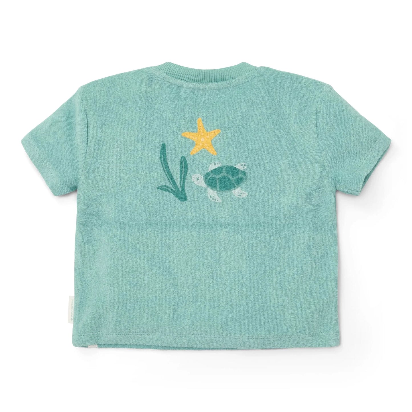 Completo t-shirt e pantaloncino Verde - Seasashells and Stripes
