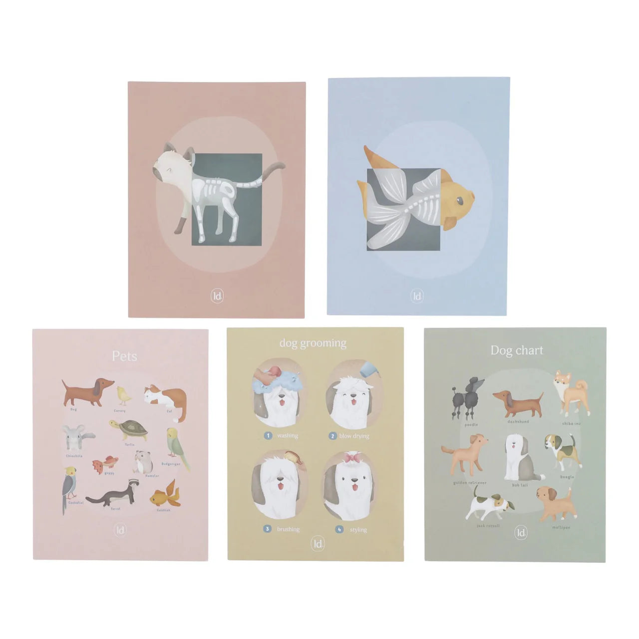 Banco del veterinario in legno