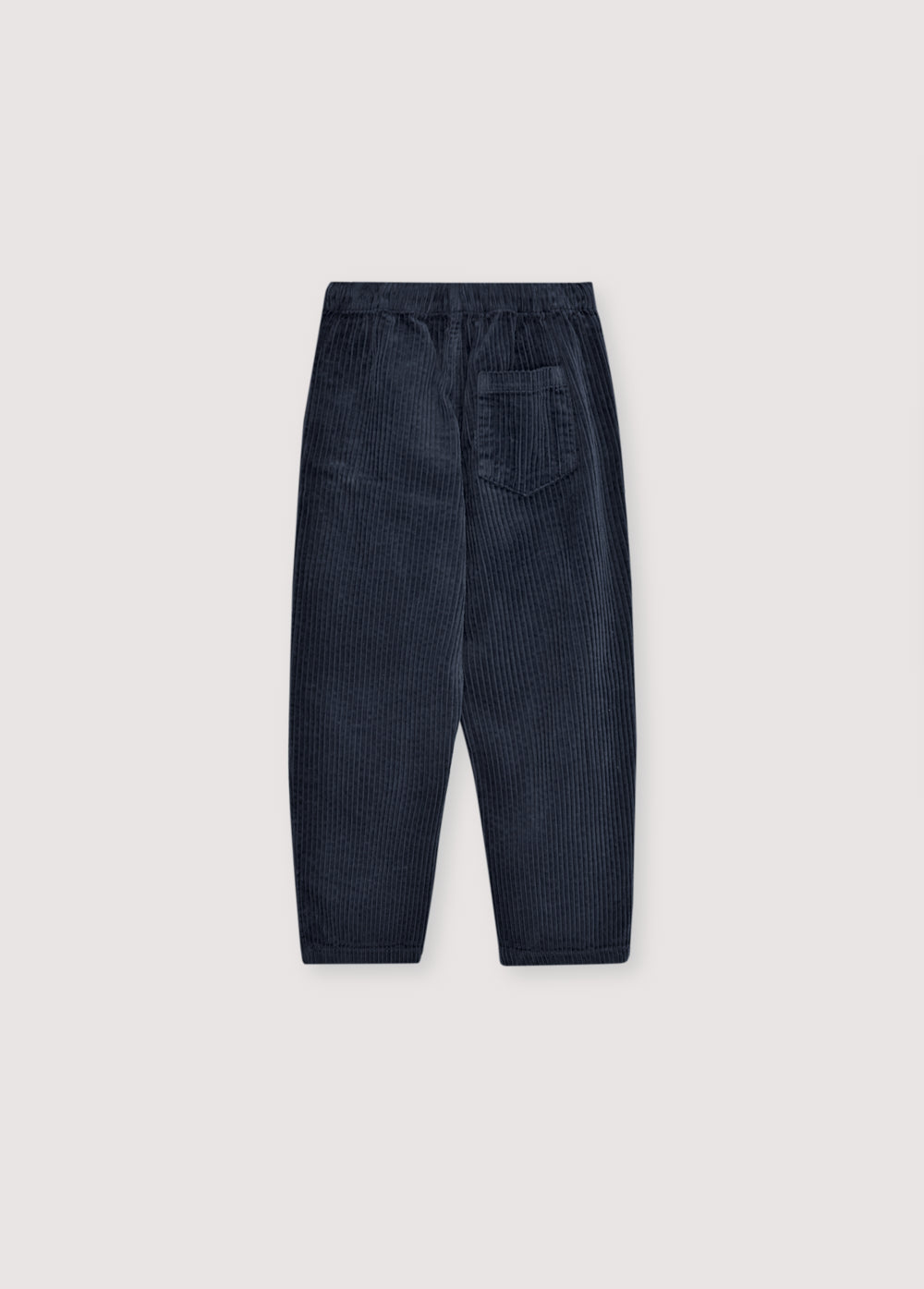 Pantalone in velluto blu Nicol