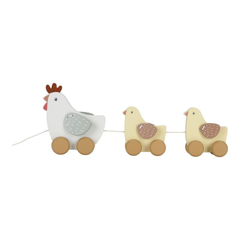 Galline da tirare