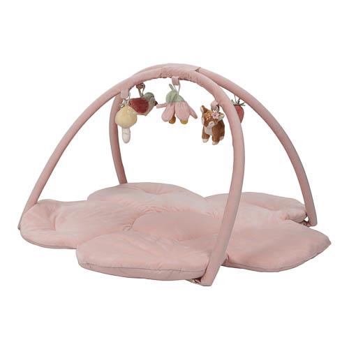 Palestrina morbida Fairy Garden
