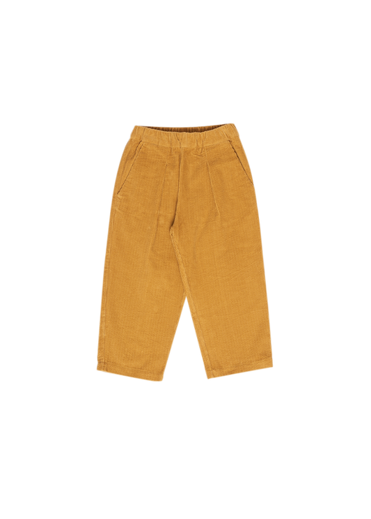 Pantalon Jérôme en velours, coton biologique