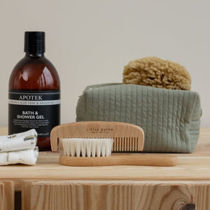 Set pettine e spazzola in legno